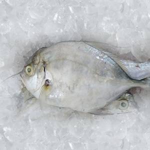 Nariyali