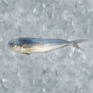 Mahi - Hufnas
