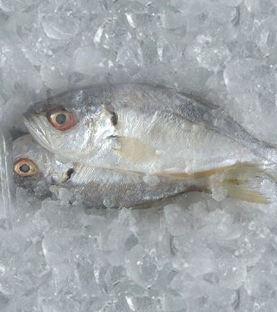 Buy Fresh Parva Fish Online in Ahmedabad