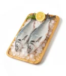 Buy Fresh Mosangi Fish Ahmedabad