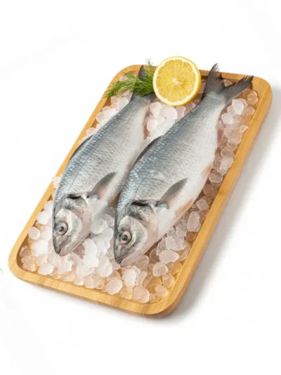 Buy Fresh Mosangi Fish Ahmedabad